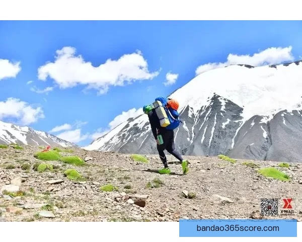 半岛体育手机版全新上线尽享极速体验多功能全面覆盖满足您的体育需求