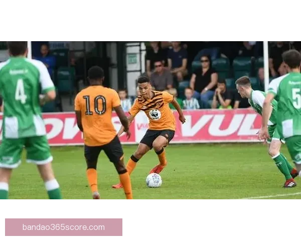 美加墨世界杯观赛投注全攻略及投注技巧解析