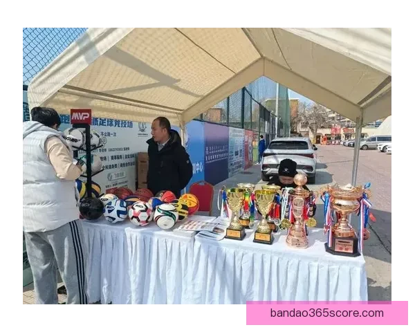 2026世界杯加拿大精彩纷呈揭幕全球足球盛宴盛大开幕