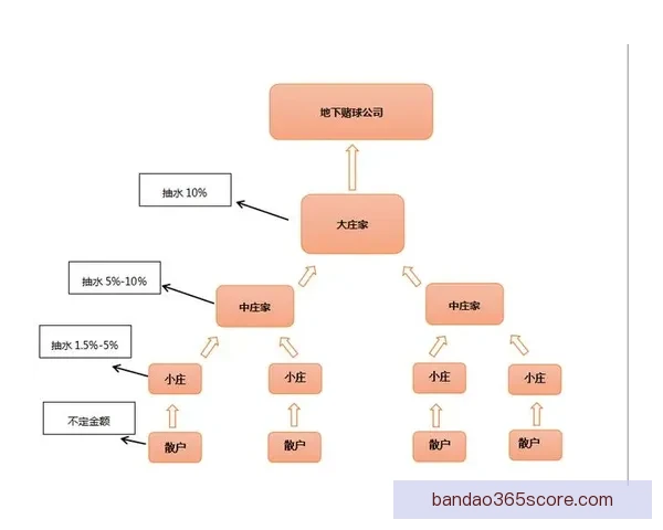 基于数据模型与盘口变化的世界杯竞猜精准预测策略深度解析方法研究